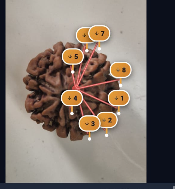 How to Start a Rudraksha Testing Lab in India